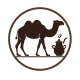 Camel foods